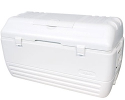 Igloo Cooler