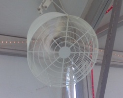 Tent Fans: 30 inches